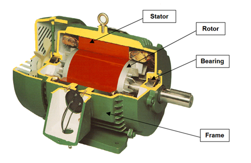 Figure 2. Construction of a Squirrel Cage Motor.png